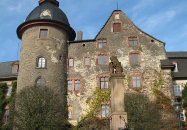 Percorso A piedi Laubach - Laubach Panoramaweg - Photo