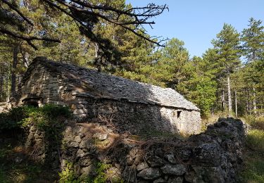 Tocht Noords wandelen Saint-Pierre-de-la-Fage - SityTrail - 2552727 - st-pierre-de-la-fage---bergerie-de-courcol - Photo