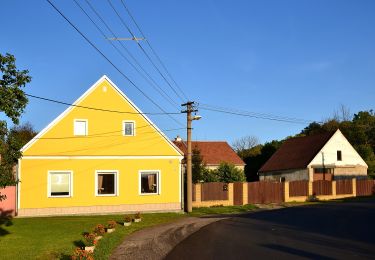 Randonnée A pied Kadaň - NS Úhošť - Photo