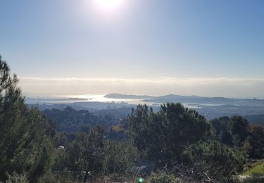 Tocht Stappen Ollioules - Chateauvallon le croupatier reco - Photo