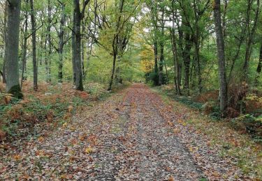 Tour Wandern Valailles - Autour de Valailles - Photo