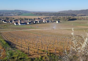 Trail Walking Azy-sur-Marne - Azy du 07-04-2021 - Photo
