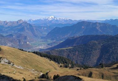 Trail Walking Bellecombe-en-Bauges - BAUGES: BANC PLAT via REPOSOIR - BORNETTE - REFUGE COMBE - Photo