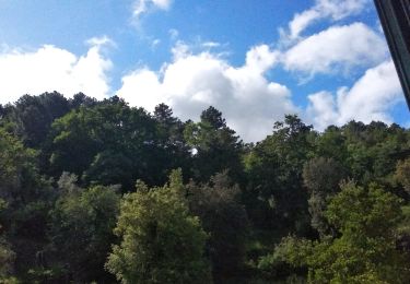 Trail On foot Chianni - Grande Percorso Naturalistico - Photo