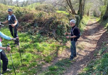 Tour Nordic Walking La Baleine - gavray 12 km - Photo