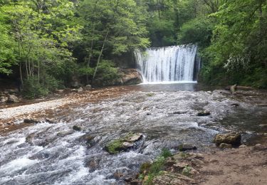 Trail Nordic walking Saint-Laurent-en-Royans - Circuit entre Saint-Laurent-en-Royans et Pont-en-Royans - Photo