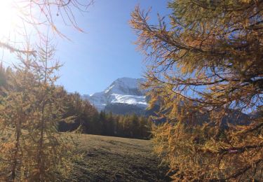 Trail Walking Sainte-Foy-Tarentaise - Bon conseil lac du Clou - Photo