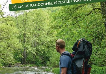 Trail Walking Libin - Entre Lesse et Lomme_33-T-Transinne - Photo