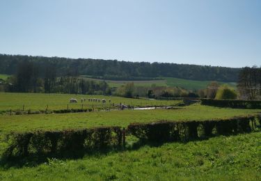 Trail Walking Dampierre-Saint-Nicolas - Dampierre st Nicolas bois de Pimont freulleville  - Photo