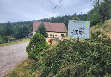 Trail Walking Bellefosse - Bellefosse - le château de la Roche - les fermes auberges - Photo
