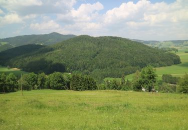 Excursión A pie Semriach - R9 Eichberg-Lurgrotte-Rundweg - Photo