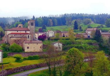 Excursión Senderismo Auzelles - Auzelles_Croix_Pradier - Photo