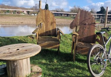 Tour Zu Fuß Champcueil - Boucle Beauvais 28 km - Photo