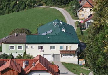 Trail On foot Oberschlierbach - Brand - Photo