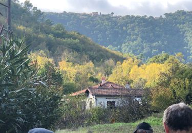 Tour Wandern Aspremont - Aspremont - Photo