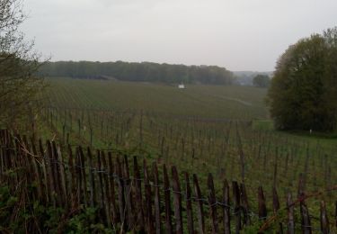 Tour Wandern Court-Saint-Étienne - la Baillerie - Photo