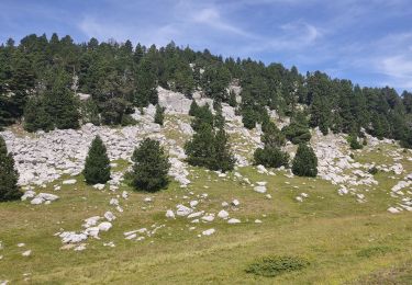 Percorso Marcia Saint-Agnan-en-Vercors - haut plateau depuis la coche  - Photo