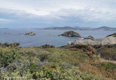 Tour Wandern Hyères - la madrague - Photo