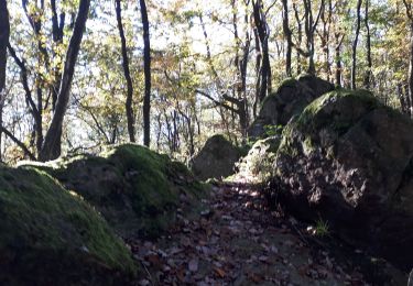 Tocht Stappen Durbuy - HEYD - Photo