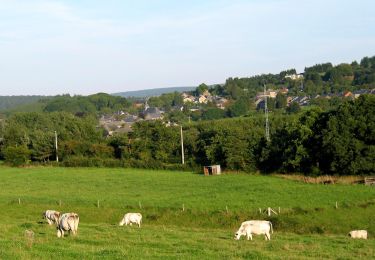 Tour Zu Fuß Tellin - TL01 Le chemin des Bruyères - Photo