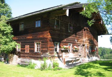 Tour Zu Fuß Hof bei Salzburg - Kapellenspur - Photo