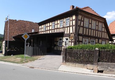 Percorso A piedi Seßlach - Wanderweg Gelber Balken - Photo