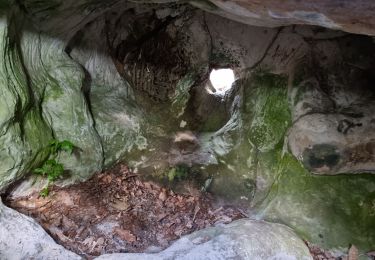 Trail Walking Buno-Bonnevaux - Buno-Bonnevaux - Photo