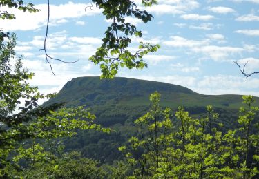 Tocht Stappen Mont-Dore - Mont_Dore_Puy_Gros_1 - Photo