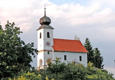 Trail On foot Sankt Martin im Sulmtal - Genusstour - Photo