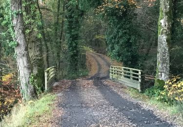 Percorso Marcia Châteaubourg - 29.11.2019 - Étang et forêt CORBIÈRE à Chateaubourg - Photo