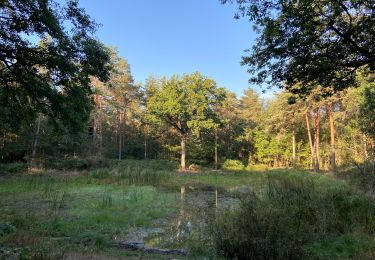 Tour Wandern Savigny-le-Temple - Rougeau 16-09-2020 - Photo