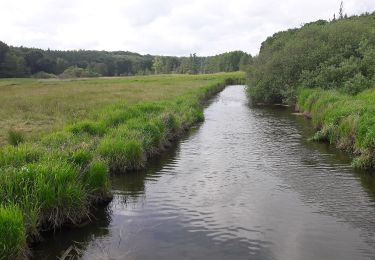 Tocht Te voet Grevenkrug - Eidertal Wanderweg - Photo