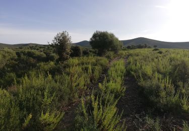 Tour Wandern Belgodère - les hauteurs de lozari (départ plage de Lozari) - Photo