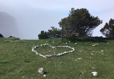 Tocht Mountainbike Lans-en-Vercors - Moucherotte par les Allières - Photo