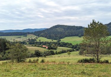 Tour Reiten Breuscheburg - 2023-09-16 Picnic CVA Climont Bourg Bruche - Photo