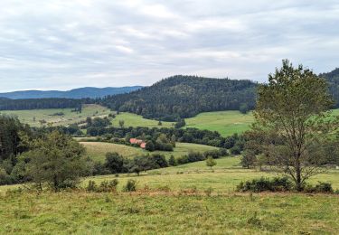 Percorso Equitazione Bourg-Bruche - 2023-09-16 Picnic CVA Climont Bourg Bruche - Photo