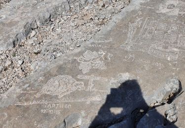 Tour Wandern Aubagne - Le Garlaban par le scolopendre - Photo