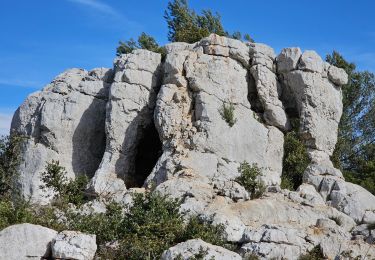 Randonnée Marche Signes - Signes - L'éléphant de pierre - Photo