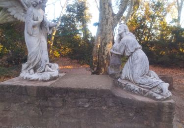 Percorso Corsa a piedi Solliès-Pont - le domaine de Castille  - Photo