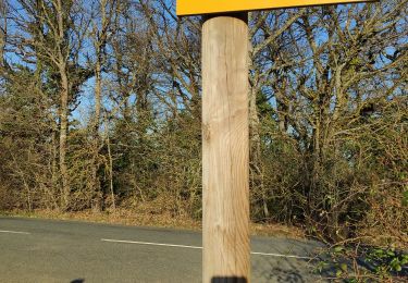 Trail Walking Saint-Didier-au-Mont-d'Or - St Fortunat retour par chemin du Pontay - Photo