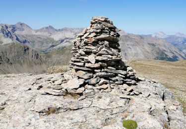 Tocht Stappen Saint-Dalmas-le-Selvage - Tour de la tête de Cristel et Cime de Plate  - Photo