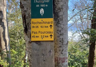 Randonnée Marche Beauregard-Baret - Pré de cinq sous - Photo