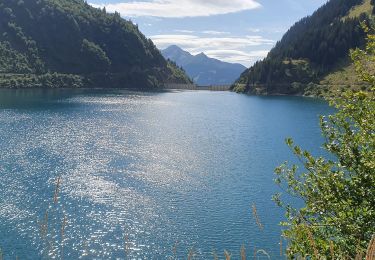 Trail Mountain bike Beaufort - tour du lac de rosseland - Photo