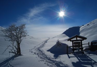 Tocht Te voet Nußdorf am Inn - Kranzhorn über Bubenaualm - Photo