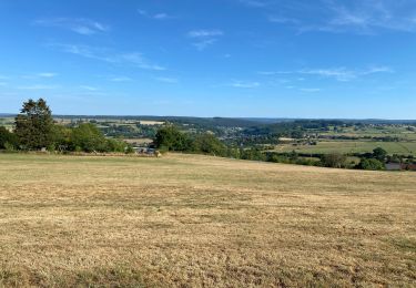 Randonnée Marche Theux - Hodbomont 21 km - Photo