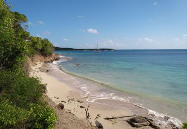 Percorso Marcia Sainte-Anne - Anse Caritan -> Anse Meunier - Photo