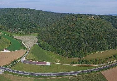 Tour Zu Fuß Schleitheim - Täuferweg - Photo