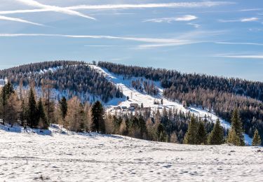 Tocht Te voet Deutsch-Griffen - Wanderweg Deutschgriffen - Hochrindl - Photo