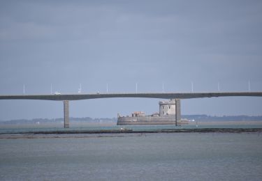 Tocht Stappen Saint-Trojan-les-Bains - 20240415 - St Trojan les Bains - 7.2 Km - Photo