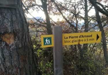 Tocht Stappen Le Sauze-du-Lac - La Pierre d'Arnaud 231121 - Photo